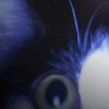 lDrxp