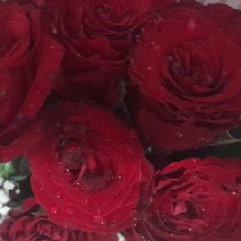 Guest_Camila460508