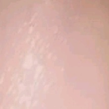 Guest_jay331668gmailcom