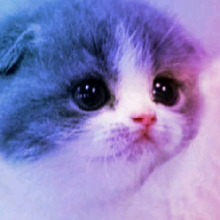 Guest_XxlucasxX00