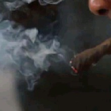 Guest_BIGTRAY49
