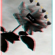 Guest_Riily