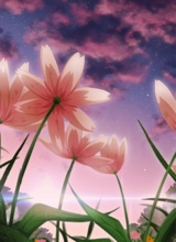 Guest_Touzi1