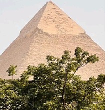 Guest_Mohamed69282