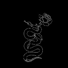 Guest_strangelime791e