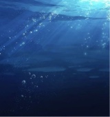 Guest_zaria808839