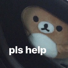 Guest_BearElliott