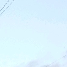 Cisv