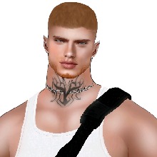 Zollak