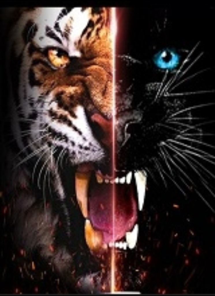صورة الـavatar