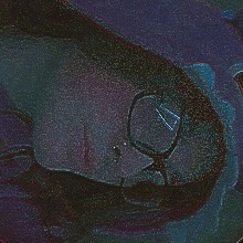 Guest_SaleenBass