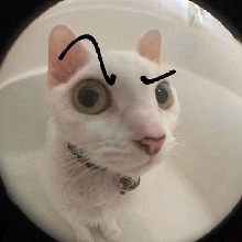 Guest_Ashleyy647537