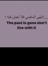 Guest_Hani198