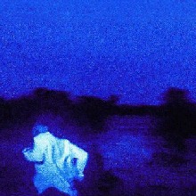 Guest_zeeaaz