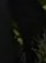 Guest_Elosie1