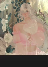 Guest_Lou636180