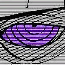 Guest_Theokoles