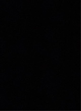 Guest_LOGAN399706