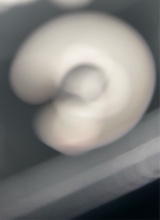 Guest_DRILLUP