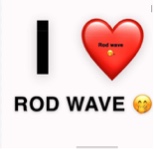 Guest_rayyy856489