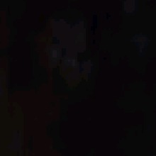 Guest_cudoce01
