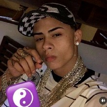 Guest_bovu