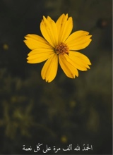 avatarbild