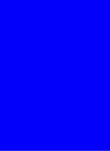 Guest_Valeri551122