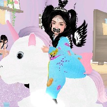 Guest_Bella566410