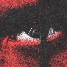 immagine avatar