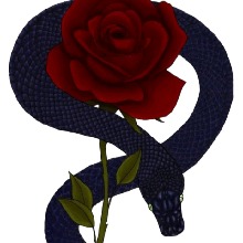 Guest_KittyBlaze3
