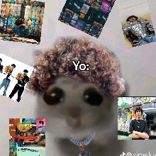 Guest_Sirubb