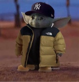 OriginalTulipCarter
