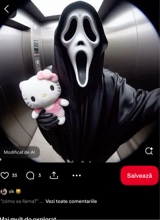 Guest_zonzonica3