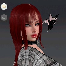 Guest_Maritza617723