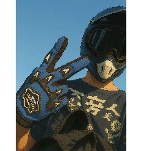 Guest_Lion18