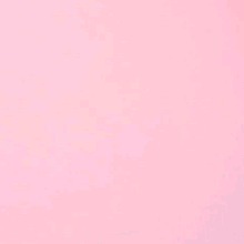 Guest_EmilyEc1