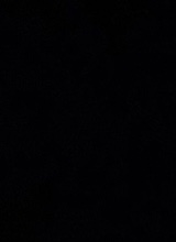 Guest_yanni160085