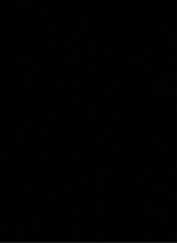 Guest_KalimeA6