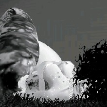 PoyZunOus