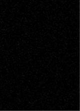 Guest_unknown499024