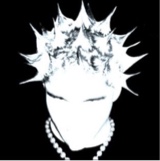 Guest_Ski691730