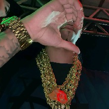 DlIP4RIS