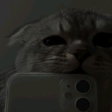 Guest_eiEduardaRs