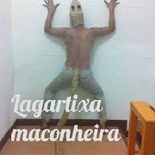 Guest_Lucas375652