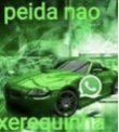 Guest_Lucas375652