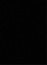 Guest_Mariah713557