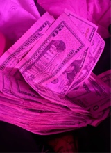 Guest_Brianna128695