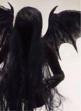 Guest_Dasanix