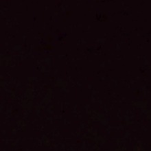 Guest_Fanyyyy1210